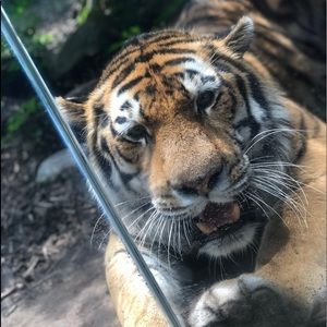 Meet your Posher, Mckensey